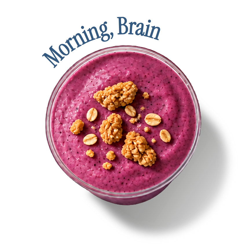 Morning, Brain